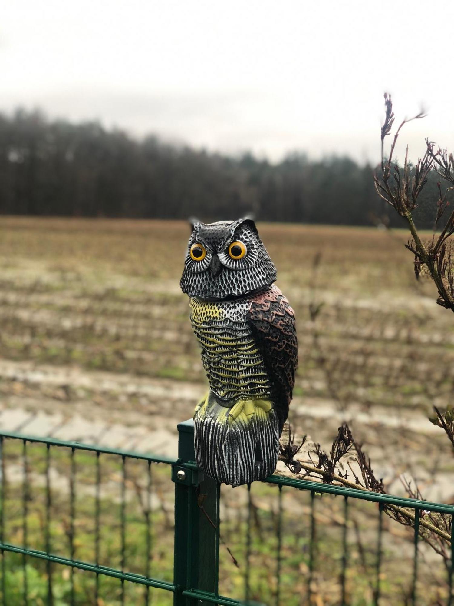 Schoene Auszeit Re14 Sögel エクステリア 写真